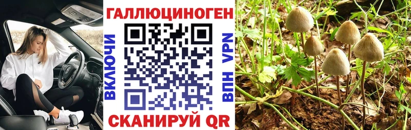 Купить где Таруса Галлюциногенные грибы мицелий